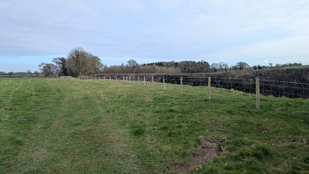 A line of fencing along the right of the image