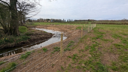 The stream to the left of the image is now fenced in.