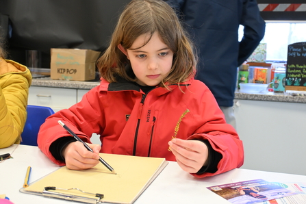 Girl looking at a plant while drawing