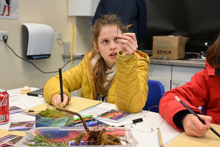 Girl looking at a plant while drawing