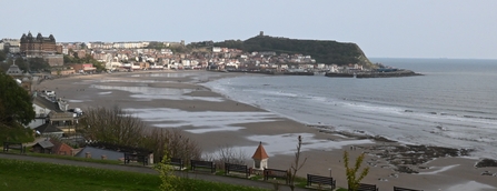 Scarborough 25th April 2025 - Low tide, Howard Roddie