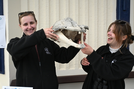 YWT Marine Team with Risso Dolphin skull from Scotland. Wild Eye Event Howard Roddie