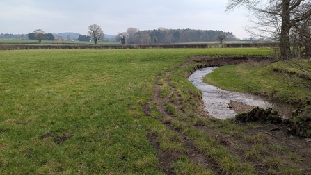 A small stream winds through the edge of a grassy field.
