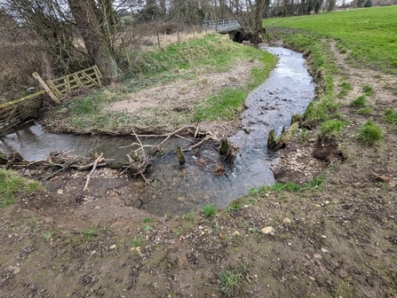 The stream curves in a 'u' shape, cutting into the bank