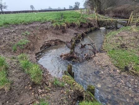 The same view of the bank eroding but from the stream itself.