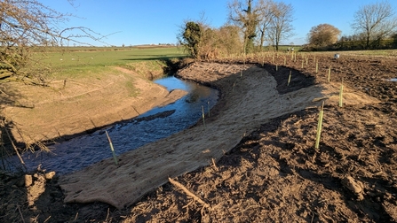 A reprofiled muddy bank with trees planted and a smoother slope sits in the foreground. The bank on the far side of the stream is also much smoother.