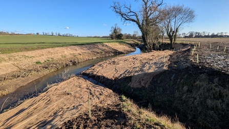 A long shot of the smoothed soil banks.
