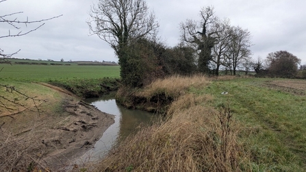 A winding stream between two fields, with the left bank highly eroded.