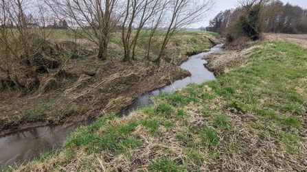 A distance shot of the stream winding between two fields.