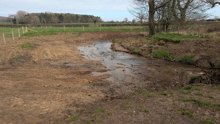 The area around the stream has been reprofiled and smoothed out entirely.