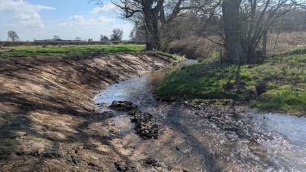 Here the bank on the left has been much more noticeably smoothed over, and is soily.
