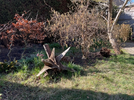 Harlow Avenue Open Gardens
