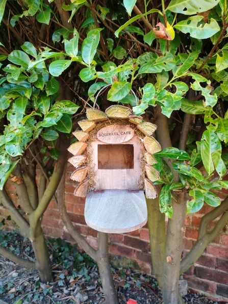 Hazelgrove care home Open Gardens