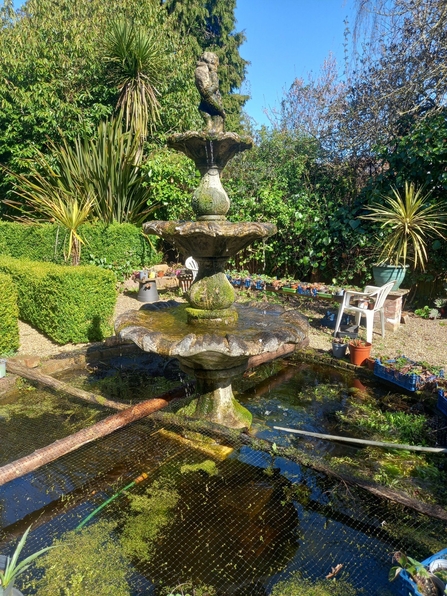 wildlife garden