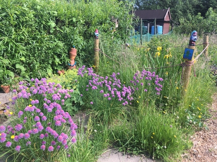 Jubilee allotments Open Gardens