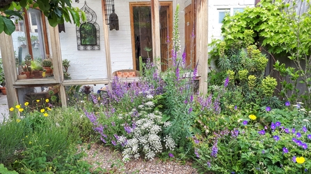 wildlife garden