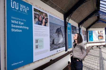 A large interpretation board about the Wild Eye project is on the left of the image - a woman stands to the right reading it.