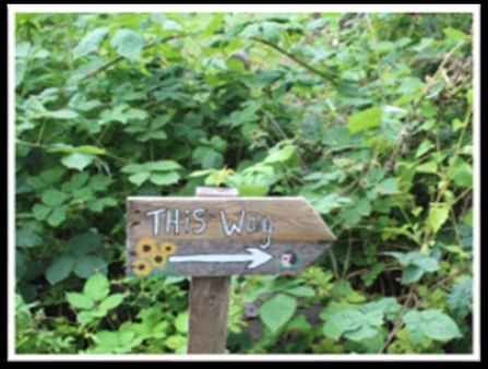 wooden sign saying this way and pointing to the right set amongst a green leafy bush