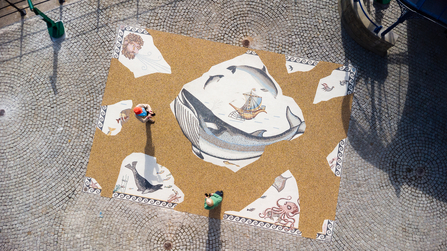 The aerial shot shows areas of white mosaic in a tan background. The centre white piece is a large whale.