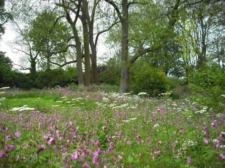 Shandy Hall Open Gardens