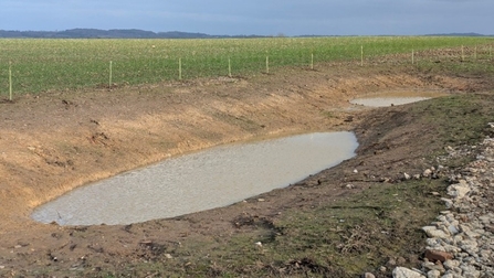 Two small depressions in the mud with water in.