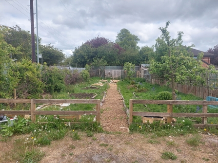 Marfleet Community Allotment