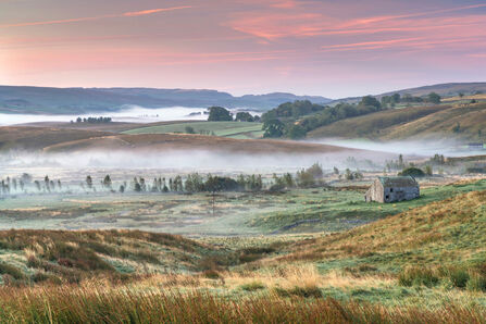 A pink and misty sunrise over Ashes Pasture