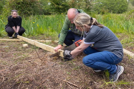 Aviva Wild at Work Day - Photo 20