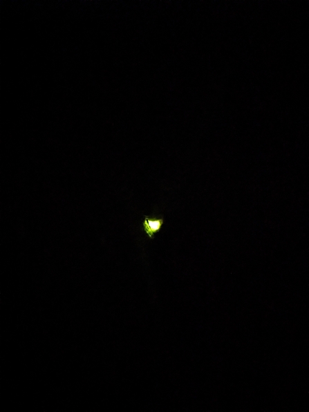 A bright green light