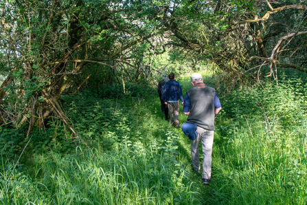 Low Wood Volunteers Breeding Bird Surveying Sara Spillett