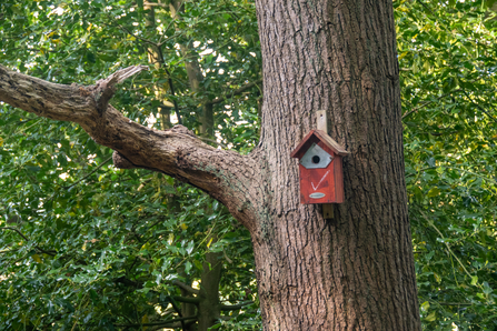 Cleaned Nest Box Low Wood - Sara Spillett