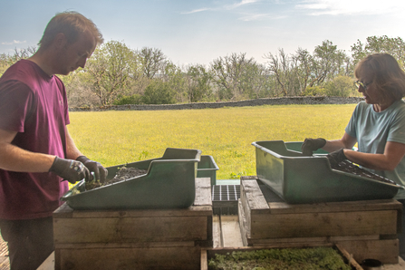 Volunteers Potting Seedlings in the shade, Wild Ingleborough - Sara Spillett