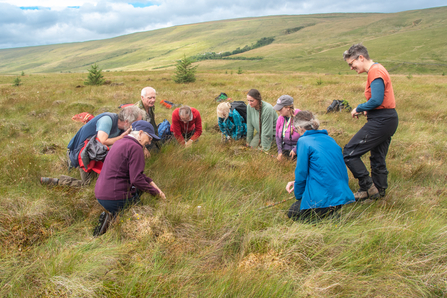 Upland Vegetation ID Training - Sara Spillett