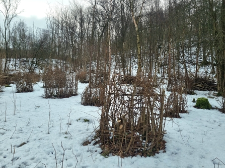 A number of small wooden cages around coppiced stools