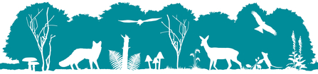 Teal footer image with white silhouette wildlife found in woodlands
