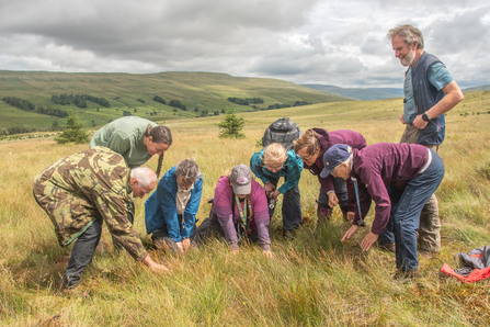 Upland Vegetation ID Training - Sara Spillett