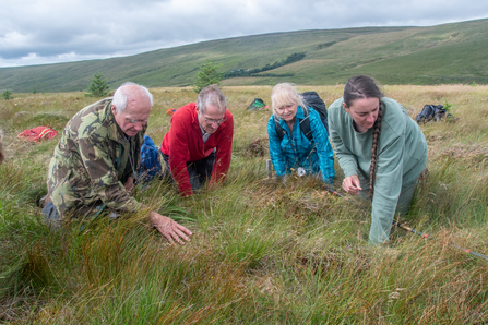 Upland Vegetation ID Training - Sara Spillett