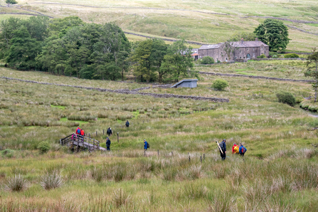Upland Vegetation ID Training - Sara Spillett