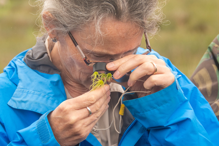 Upland Vegetation ID Training - Sara Spillett
