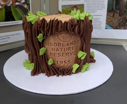Moorlands woodland themed birthday cake - Marie Fooks