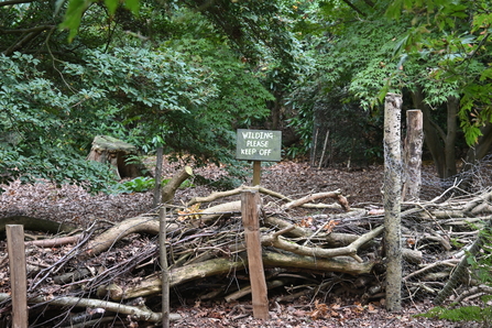 Dead hedge built by the volunteers at Moorlands - Howard Roddie