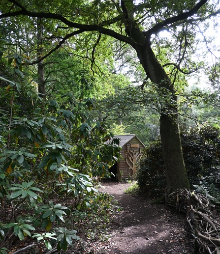 Woodland view Moorlands - Howard Roddie