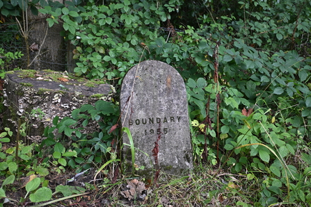 Boundary Stone at Moorlands - Howard Roddie