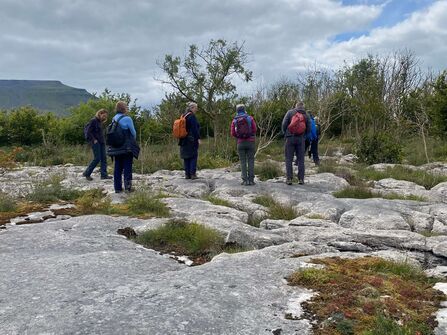 Trustee group exploring limestone pavement