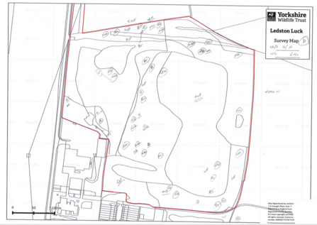 Breeding Bird Survey Map Ledston Luck - Amelia Lewis