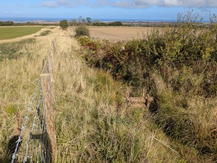 Leaky dams in the ESK 