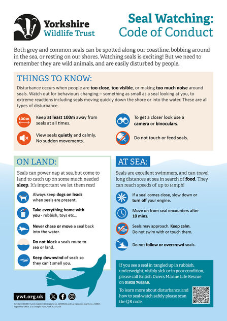 Seal code of conduct 2025 