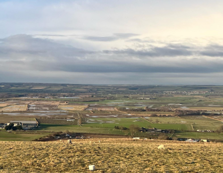 An aerial view over fields