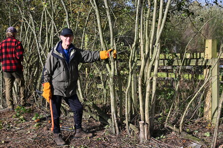 Clearing brambles and deadwood for hedgelaying - Howard Roddie
