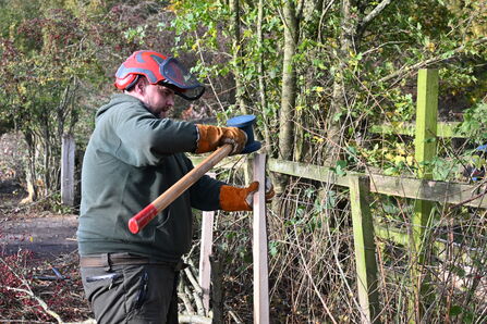 Instructor Mike Dudding inserting wooden posts for hedgelaying - Howard Roddie
